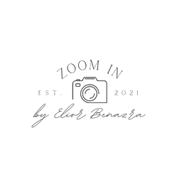 Zoom In Logo